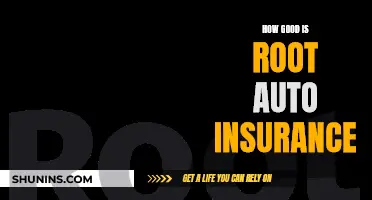 Root Auto Insurance: Revolutionizing the Industry with Tech-Driven Personalization