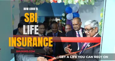 Is SBI Life Insurance Worth the Hype?