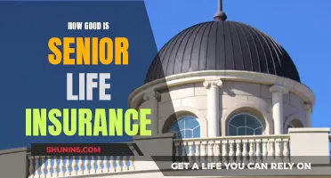 Senior Life Insurance: Is It Worth the Cost?