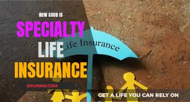 Specialty Life Insurance: Is It Worth the Cost?