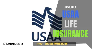 Usaa Life Insurance: Is It Worth the Hype?