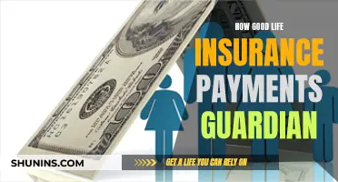 Life Insurance Payments: Guardian's Financial Security and Peace