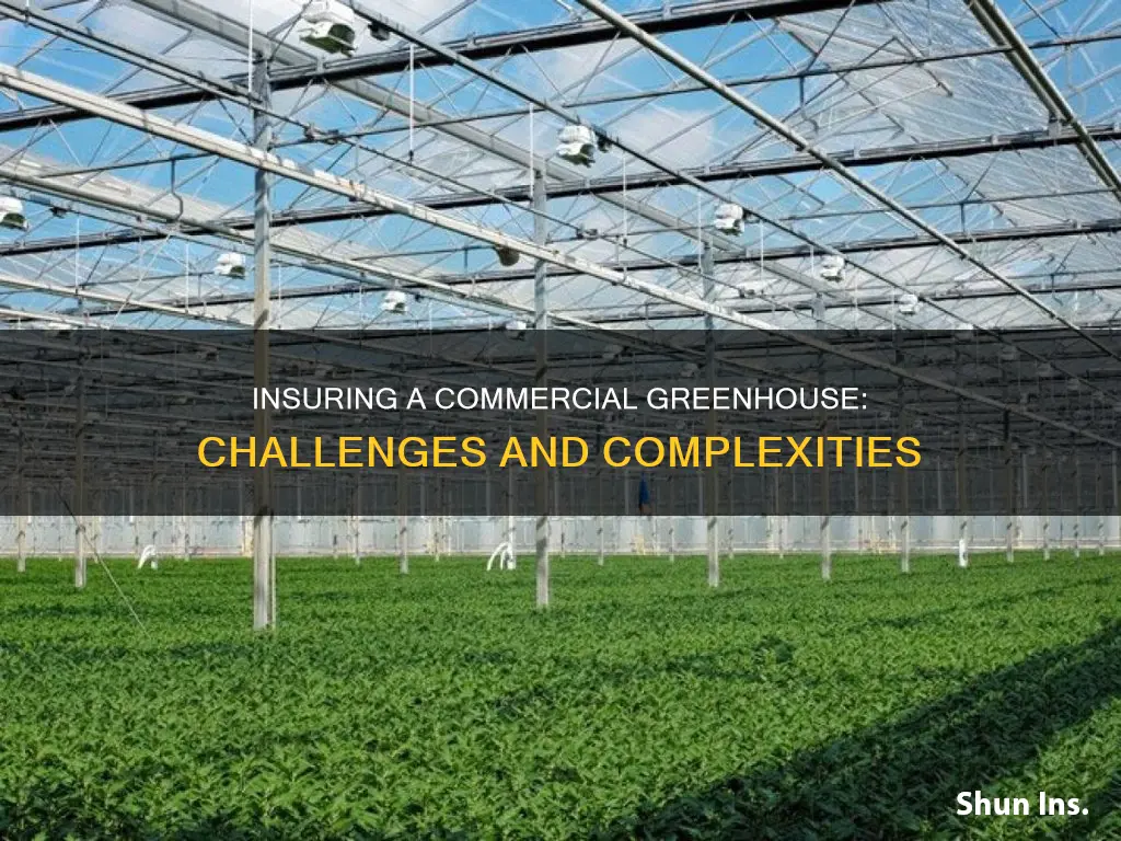 how hard is it to insurance a commercial greenhouse