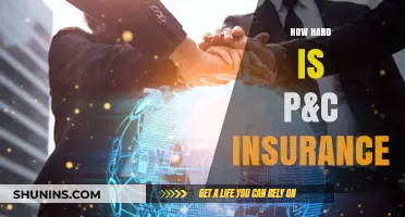 Navigating the Complexity of P&C Insurance: Challenges and Insights