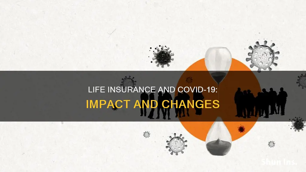 how has covid 19 affected life insurance