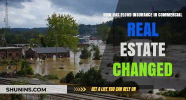 Flood Insurance: Commercial Real Estate's Changing Landscape