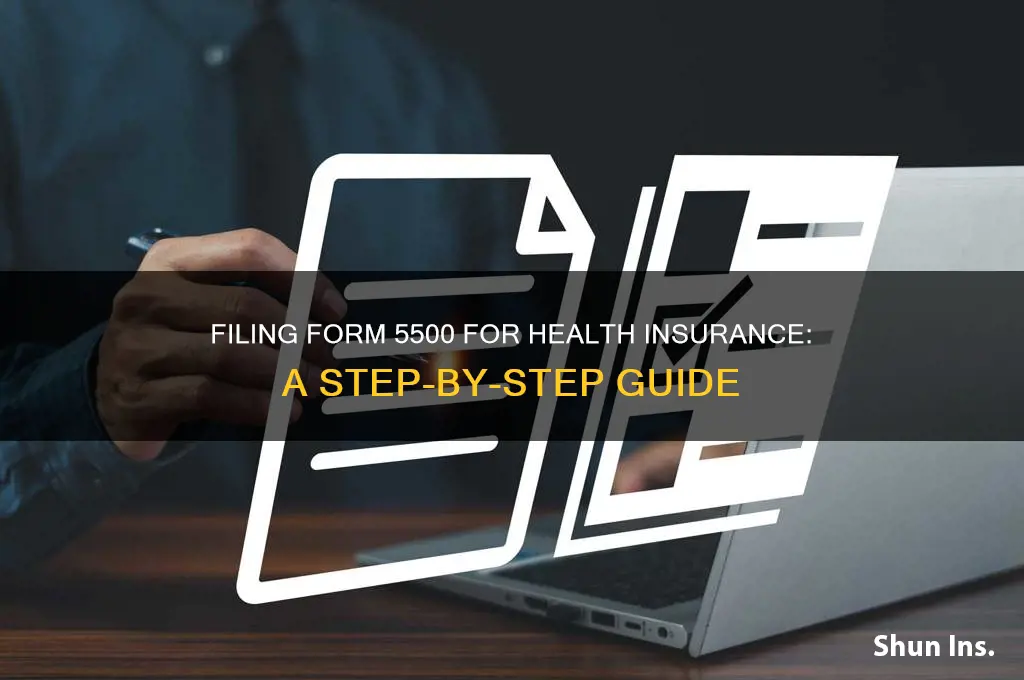 how has to file a 5500 for health insurance