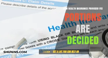 Understanding Health Insurance Provider Fee Portions: Key Factors and Decisions