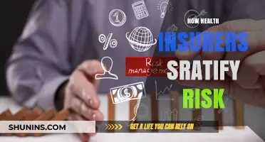 How Health Insurers Stratify Risk: Strategies and Implications