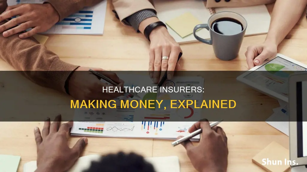 how healthcare insurers make money