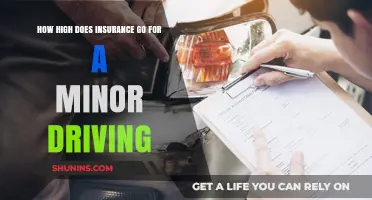 Insurance Premiums for Teen Drivers: How High?