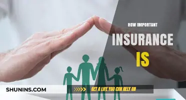 Why Insurance is Crucial for Financial Security and Peace of Mind