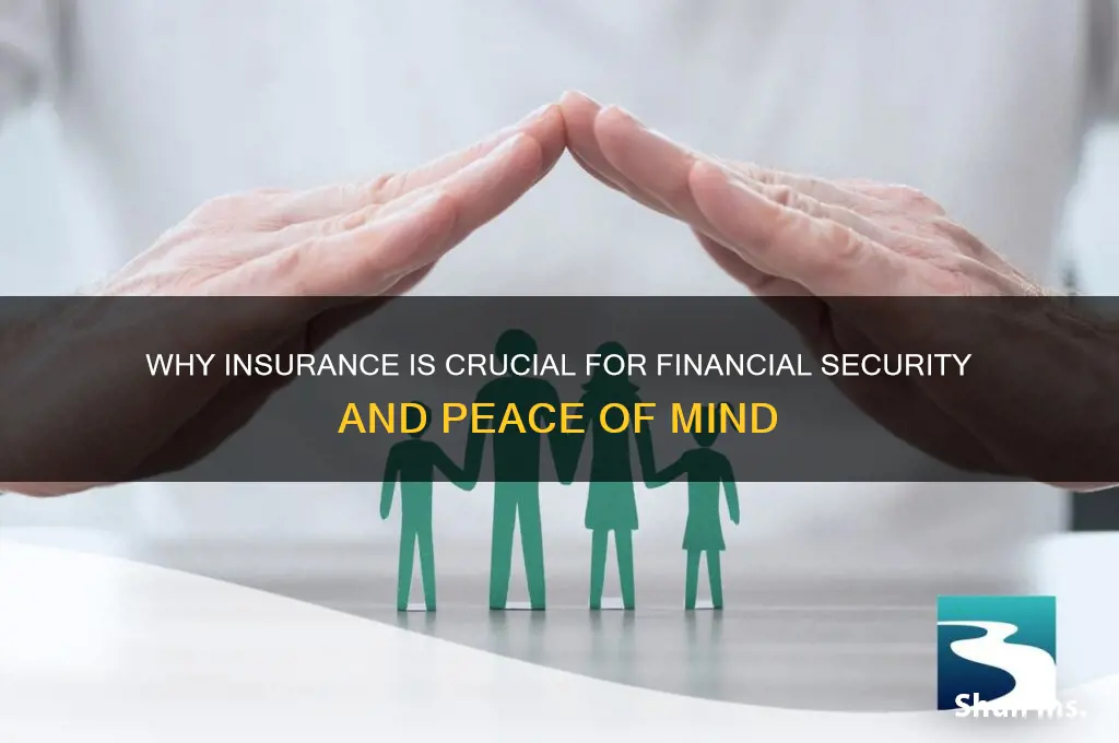 how important insurance is