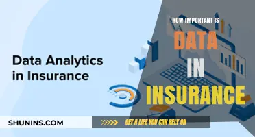 Data's Role in Insurance: Transforming Risk, Claims, and Customer Experience