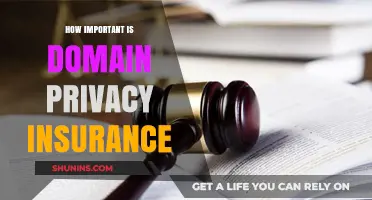 Protecting Your Online Identity: The Importance of Domain Privacy Insurance