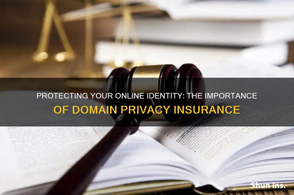 how important is domain privacy insurance