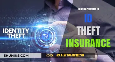 Is Identity Theft Insurance Essential for Your Financial Security?