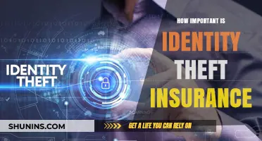 Is Identity Theft Insurance Essential for Your Financial Security?