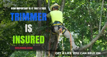 Why Insured Tree Trimmers Protect Your Property and Peace of Mind