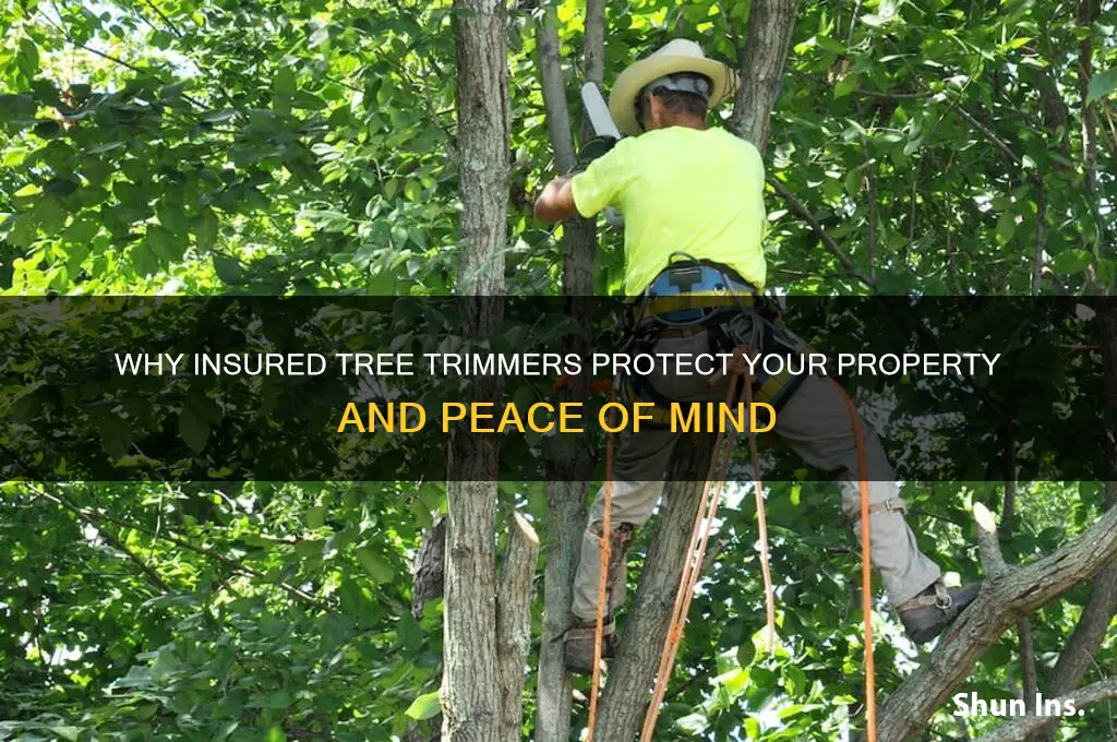 how important is it that a tree trimmer is insured