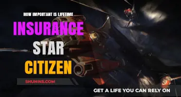 Lifetime Insurance in Star Citizen: A Crucial Investment for Pilots