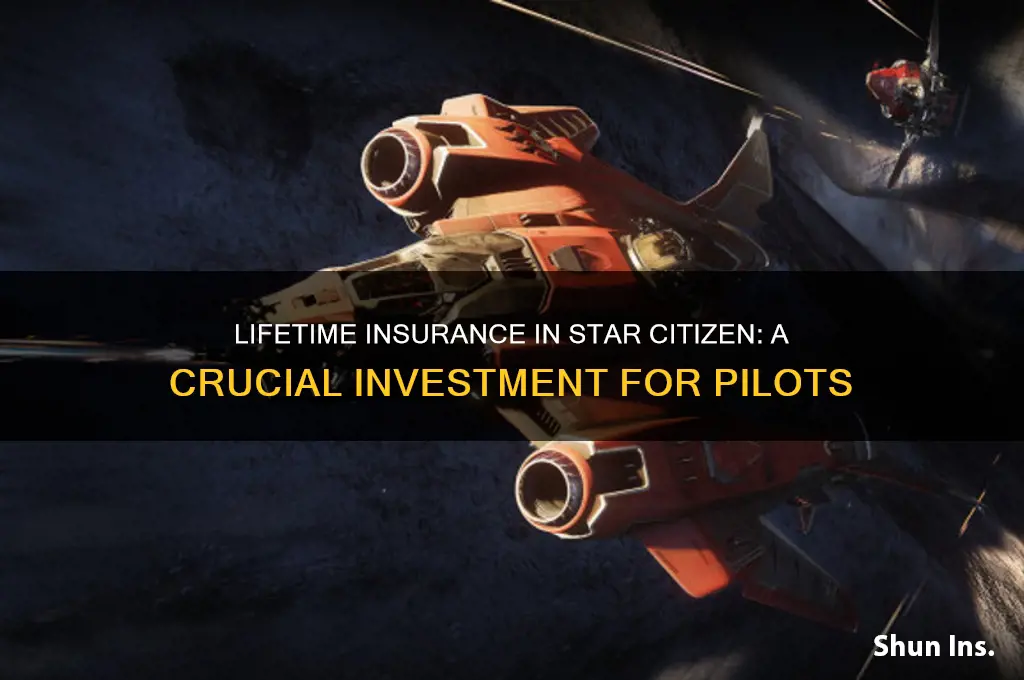 how important is lifetime insurance star citizen