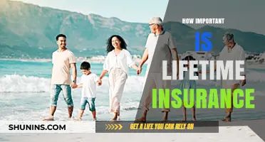 Lifetime Insurance: A Crucial Safety Net for Your Family's Future