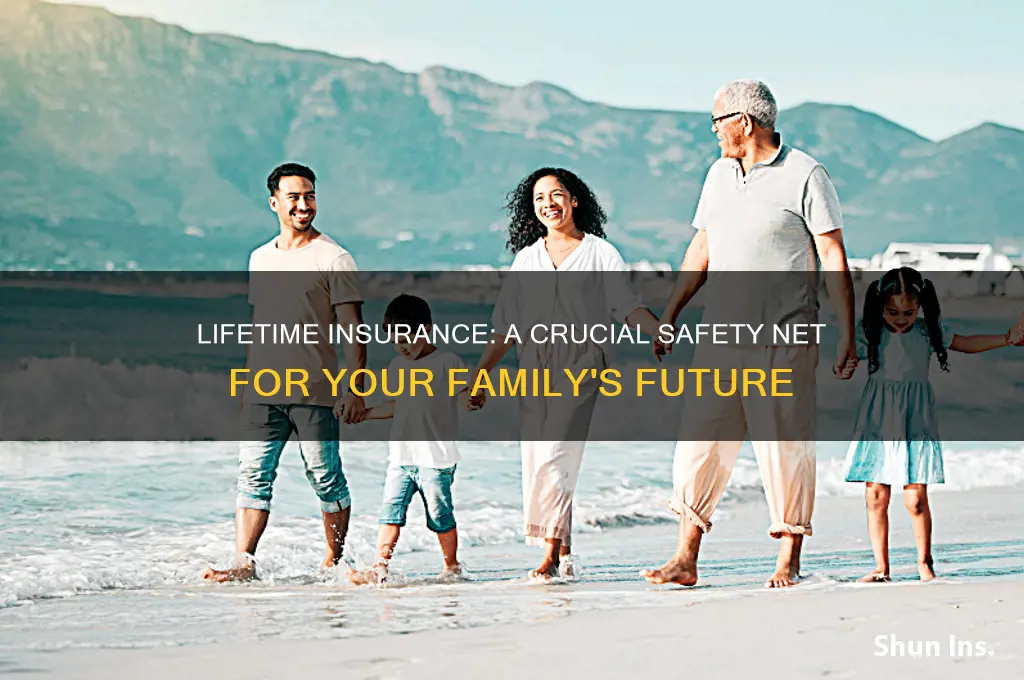 how important is lifetime insurance