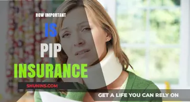 Understanding PIP Insurance: Why It's Crucial for Your Financial Protection