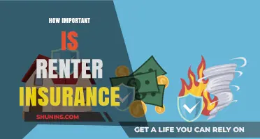 Why Renter's Insurance is a Must-Have for Every Tenant