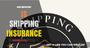 Why Shipping Insurance is Crucial for Protecting Your Valuable Packages