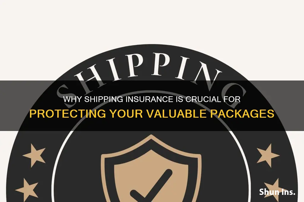 how important is shipping insurance