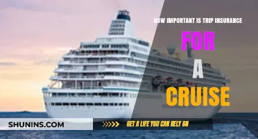 Why Cruise Trip Insurance is Essential for Peace of Mind