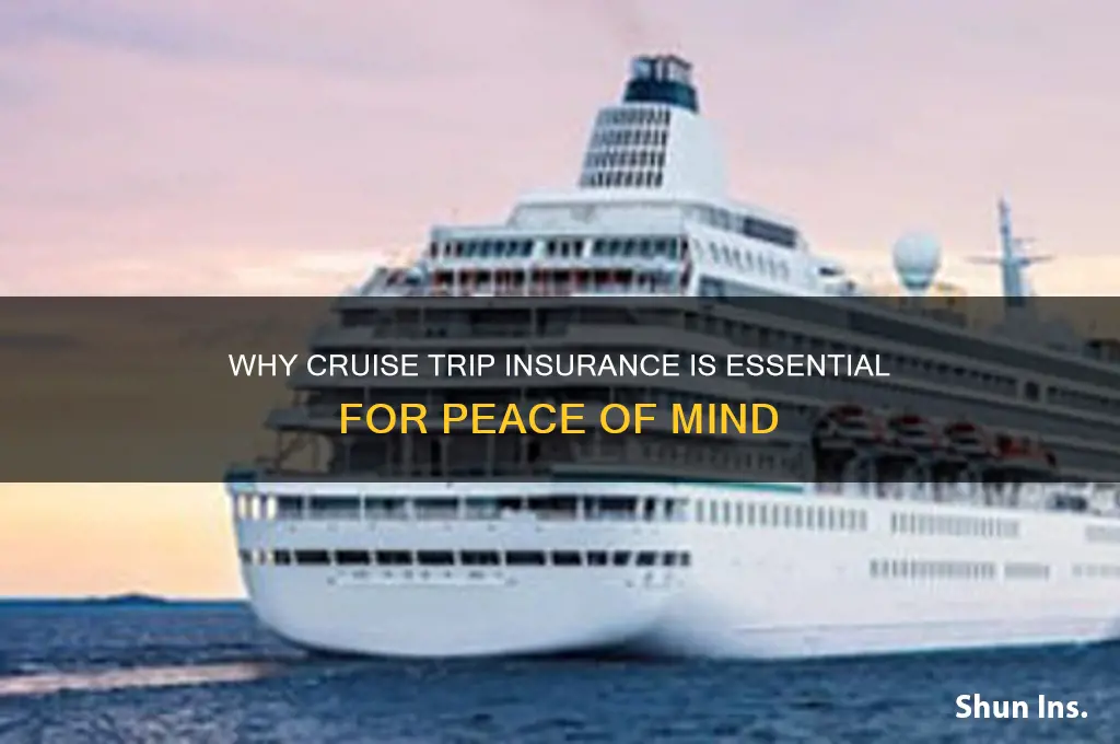 how important is trip insurance for a cruise