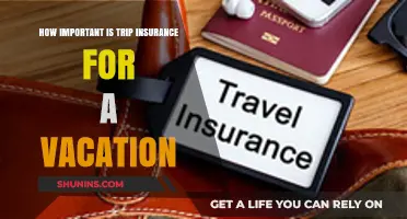 Why Trip Insurance is Essential for Your Next Vacation