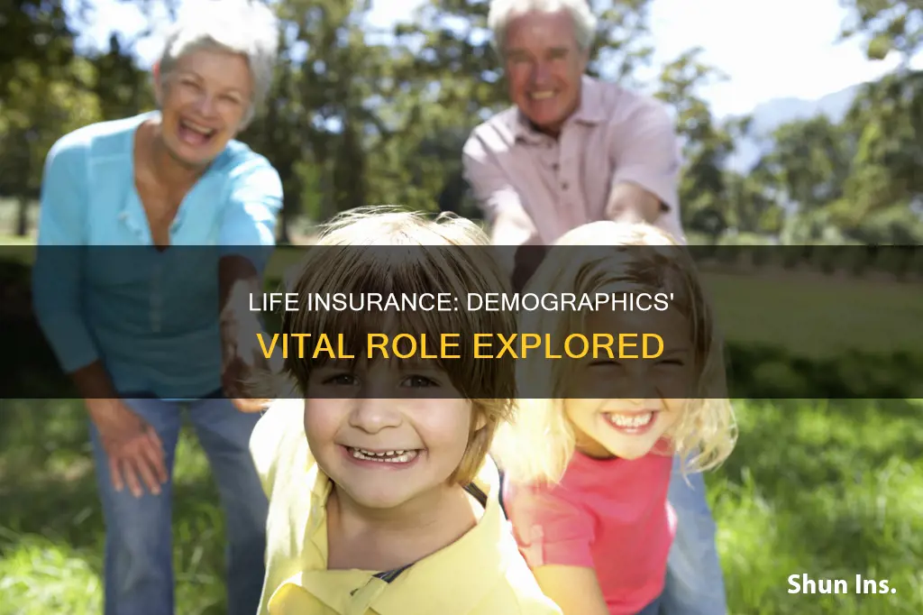 how importent for life insurance demografics