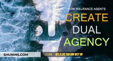 Insurance Agents: Dual Agency Creators