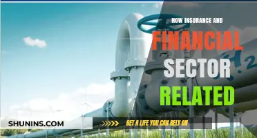 Insurance and Finance: Interconnected Pillars of Economic Stability and Growth