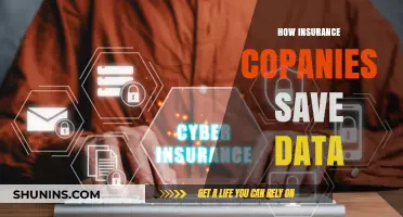 How Insurance Companies Securely Store and Manage Data