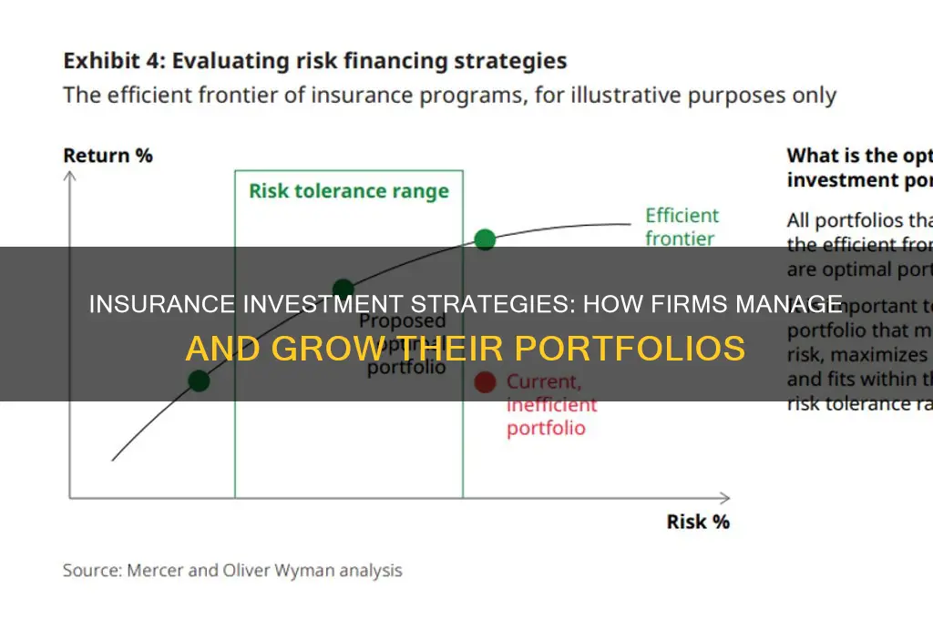 how insurance firms conduct their investment activities