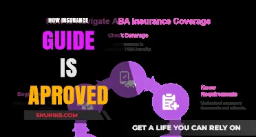 Understanding the Approval Process for Comprehensive Insurance Guides