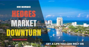 Insurance as a Shield: Protecting Against Market Downturns and Losses