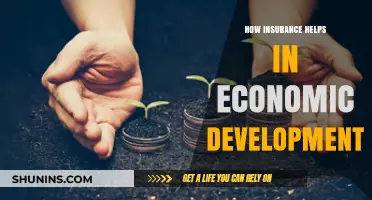 Insurance's Role in Driving Economic Growth and Stability
