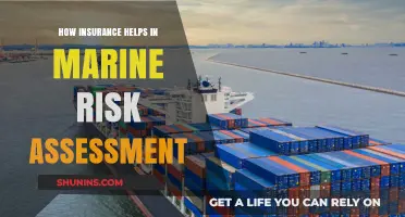 Marine Risk Mitigation: Insurance as a Safety Net