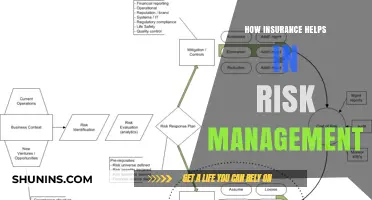 Insurance: Effective Risk Management Tool