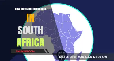 Understanding South Africa's Insurance Landscape: Policies, Regulations, and Consumer Rights