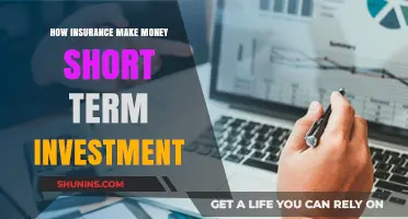 Insurance Companies: Short-Term Investment Strategies for Success