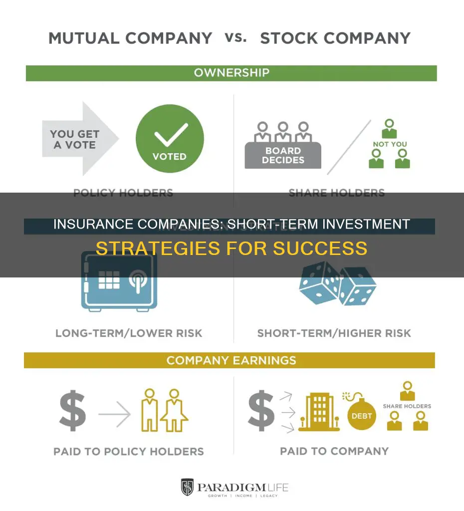 how insurance make money short term investment