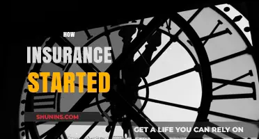 The Origins of Insurance: A Journey Through History and Evolution