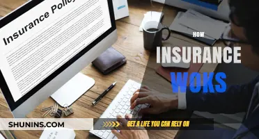 Understanding Insurance Basics: How Policies Work and Protect Your Future